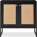 2-Door Rattan Storage Cabinet - 15D x 31.5W x 32.5H