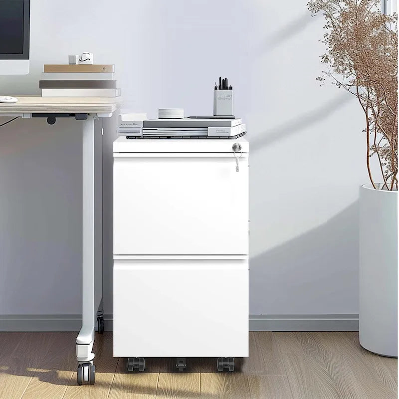 2 Drawer Metal Mobile File Cabinet with Lock for Hanging Legal/Letter/A4 Size