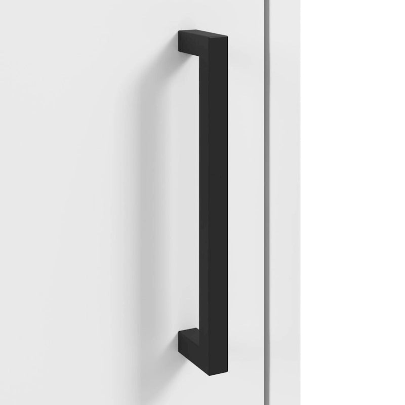 Storage Cabinet with Doors by